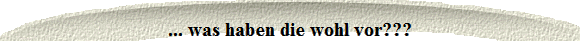 ... was haben die wohl vor???
