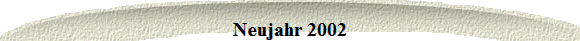 Neujahr 2002