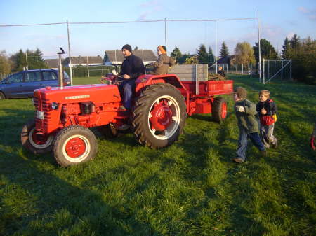Holzsammeln fr Martinsfeuer 2006 01
