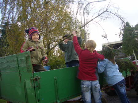 Holzsammeln fr Martinsfeuer 2006 02