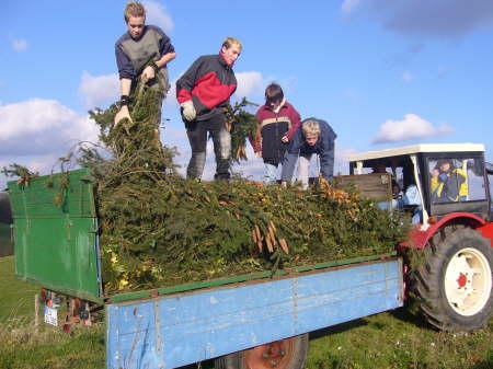 Holzsammeln fr Martinsfeuer 2006 05
