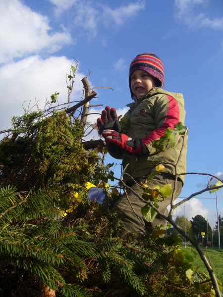 Holzsammeln fr Martinsfeuer 2006 08