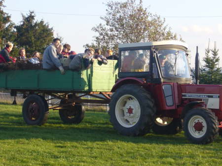 Holzsammeln fr Martinsfeuer 2006 10