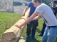 IMG-20230501-WA0061