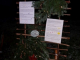 Scheuren-20201224_171645